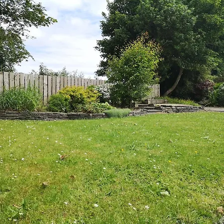 View * Letterkenny